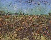 Vincent Van Gogh The Green Vineyard (nn04) France oil painting artist